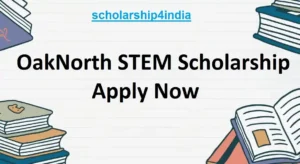 Read more about the article OakNorth STEM Scholarship and Mentorship Programme